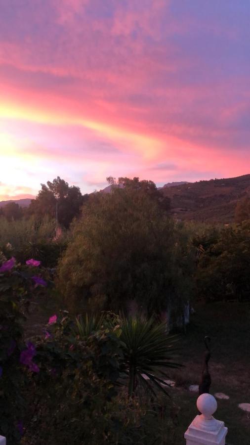 Finca El Rio, The Studio Self Catering With Pool And Hydrotherapy Jacuzzi Set In Beautiful Gardens, Guaro Luaran gambar
