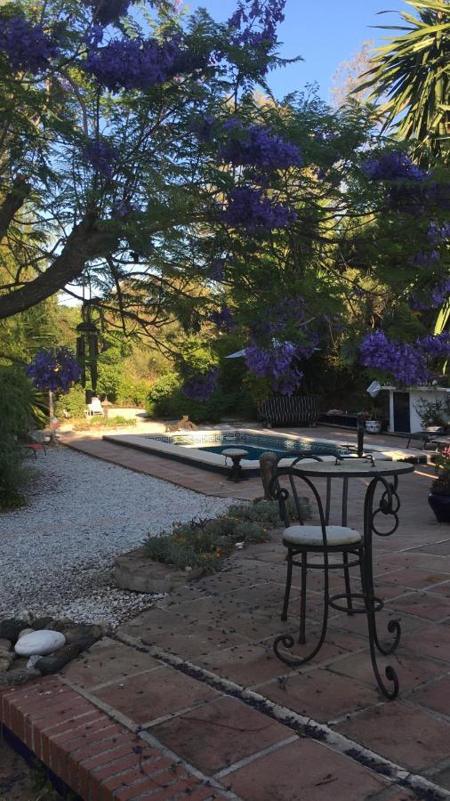 Finca El Rio, The Studio Self Catering With Pool And Hydrotherapy Jacuzzi Set In Beautiful Gardens, Guaro Luaran gambar