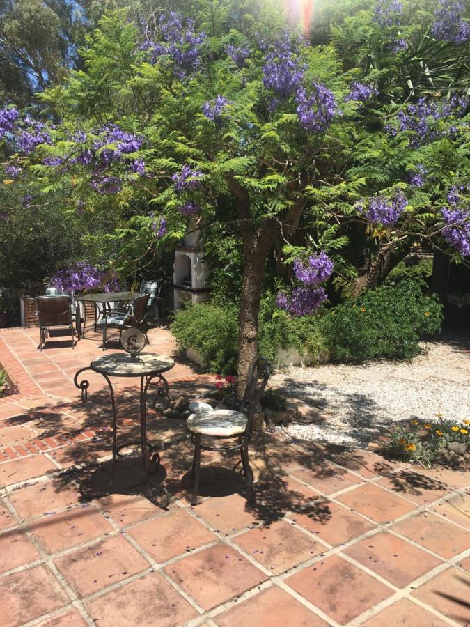 Finca El Rio, The Studio Self Catering With Pool And Hydrotherapy Jacuzzi Set In Beautiful Gardens, Guaro Luaran gambar